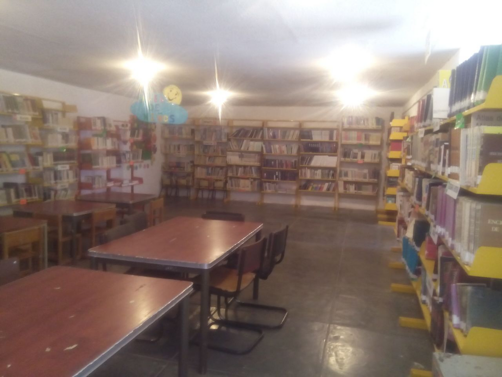 imagen1