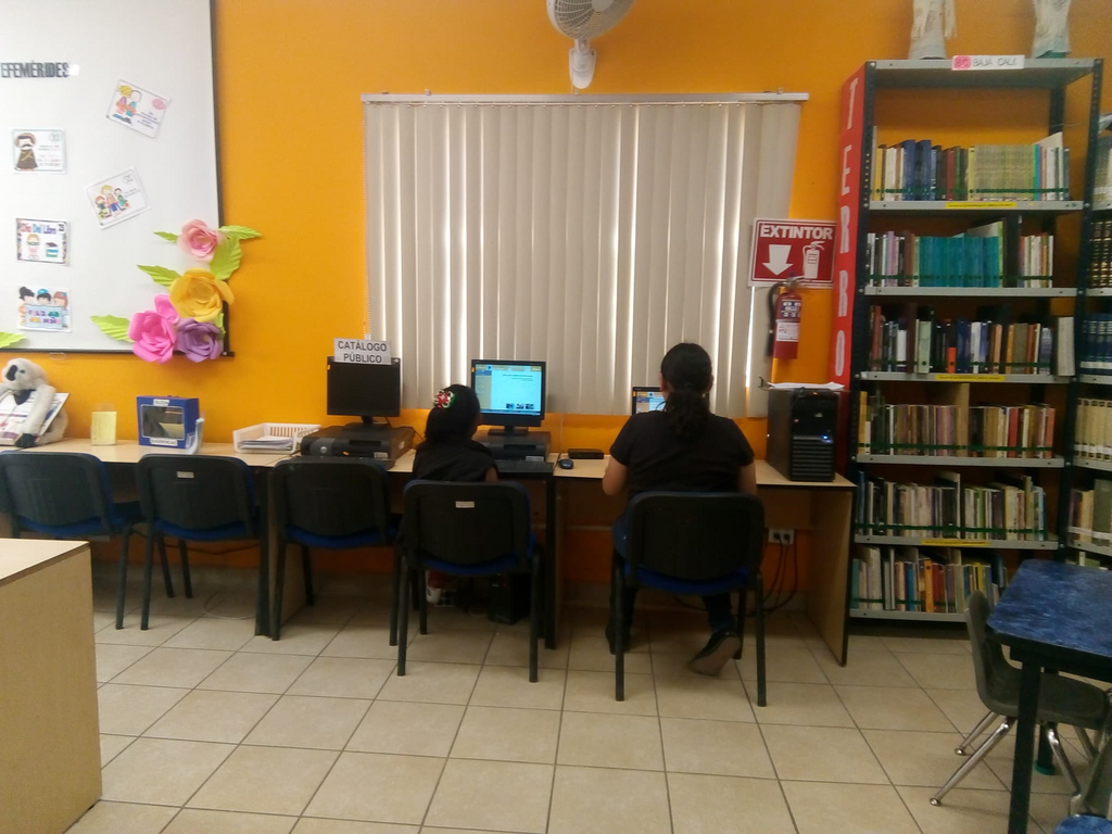 imagen3