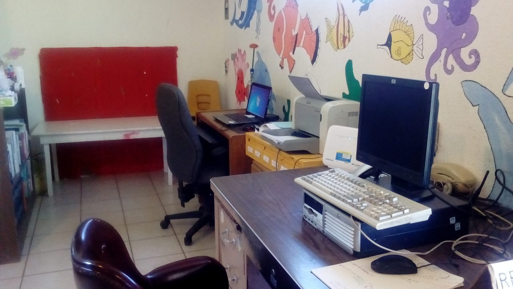 imagen1