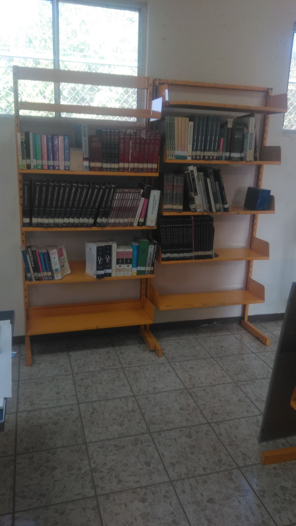 imagen3