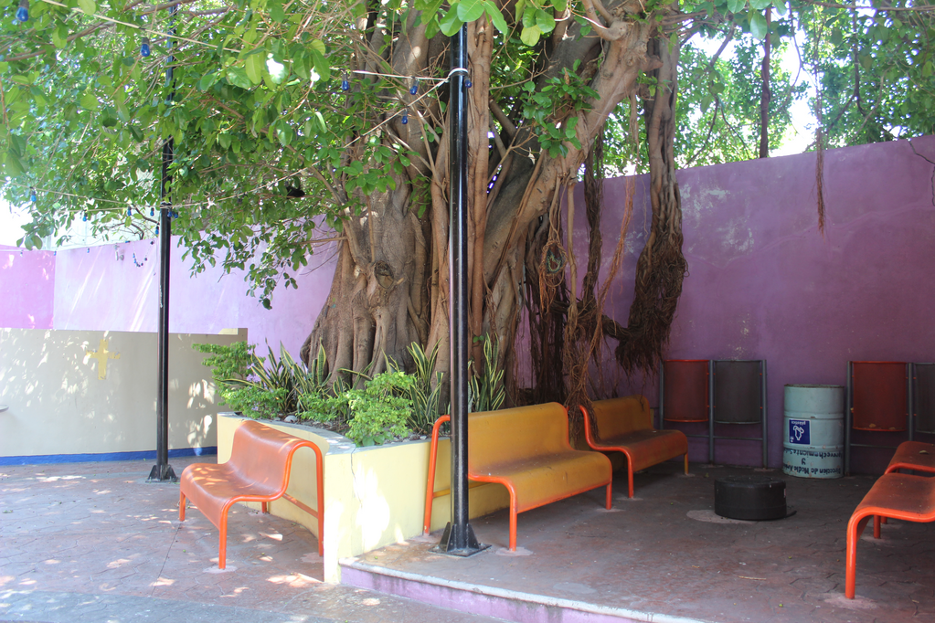 imagen1