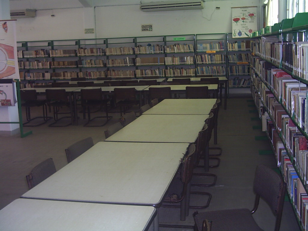 imagen2