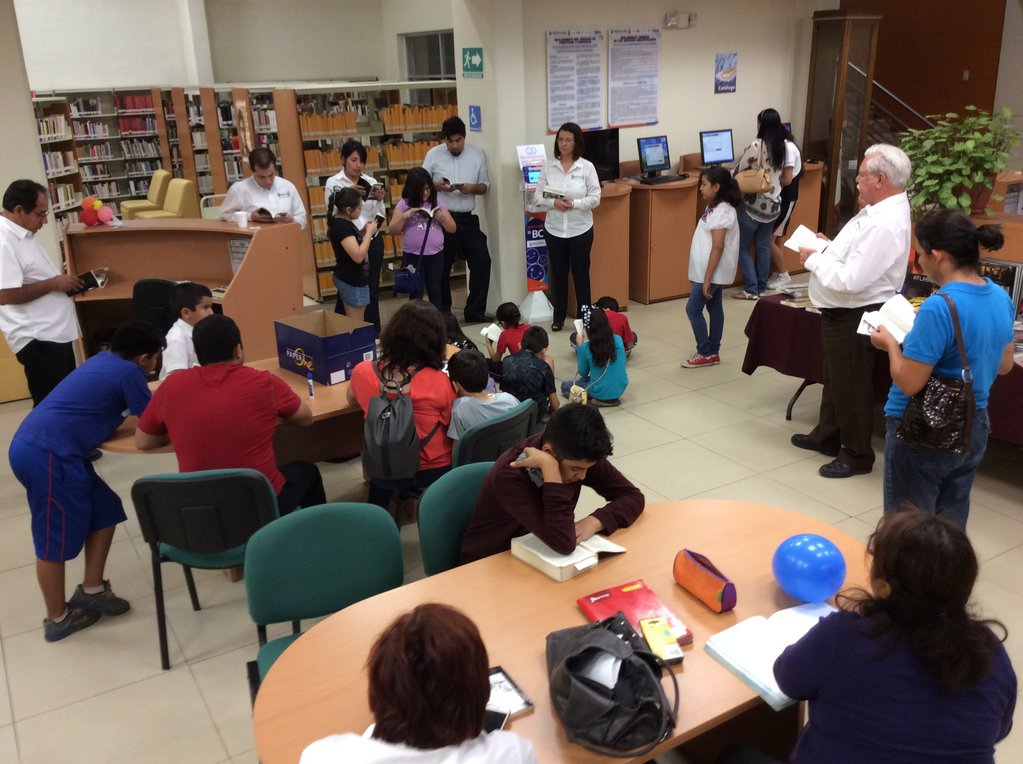 imagen1