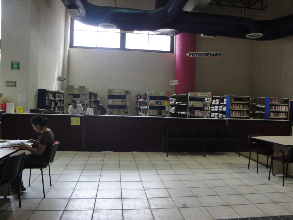 imagen3