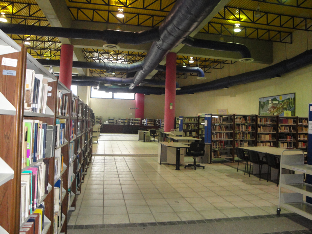 imagen1