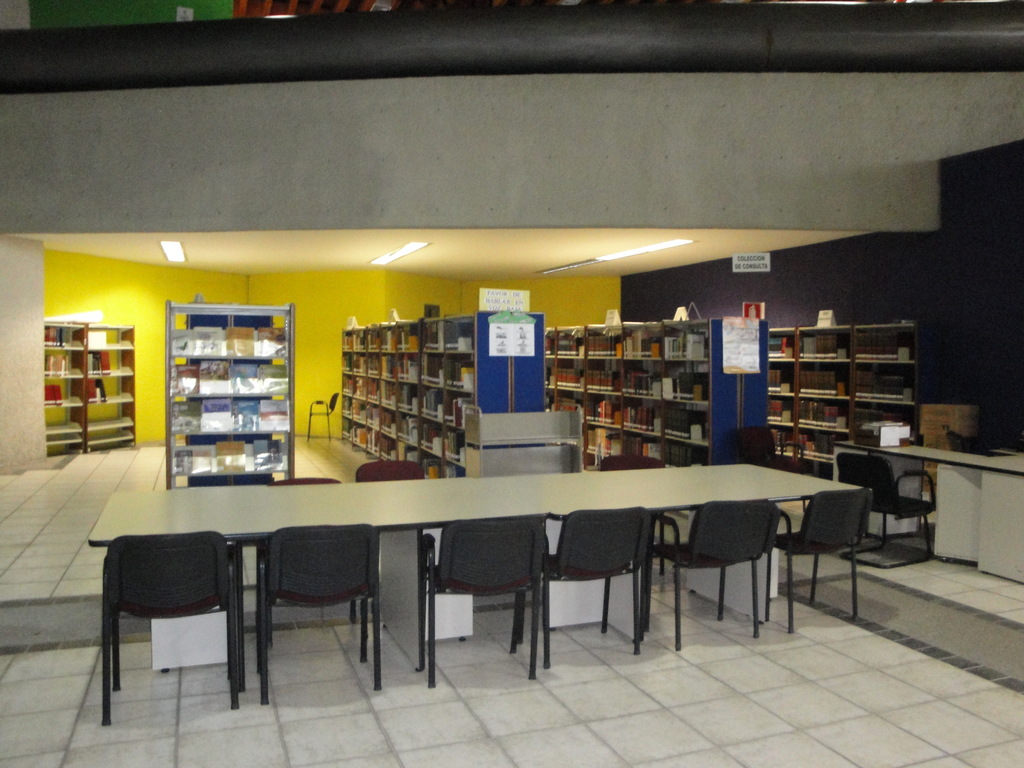 imagen3