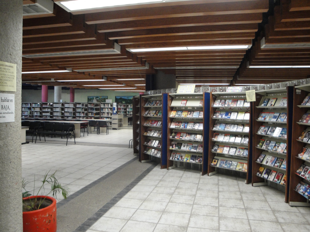 imagen3