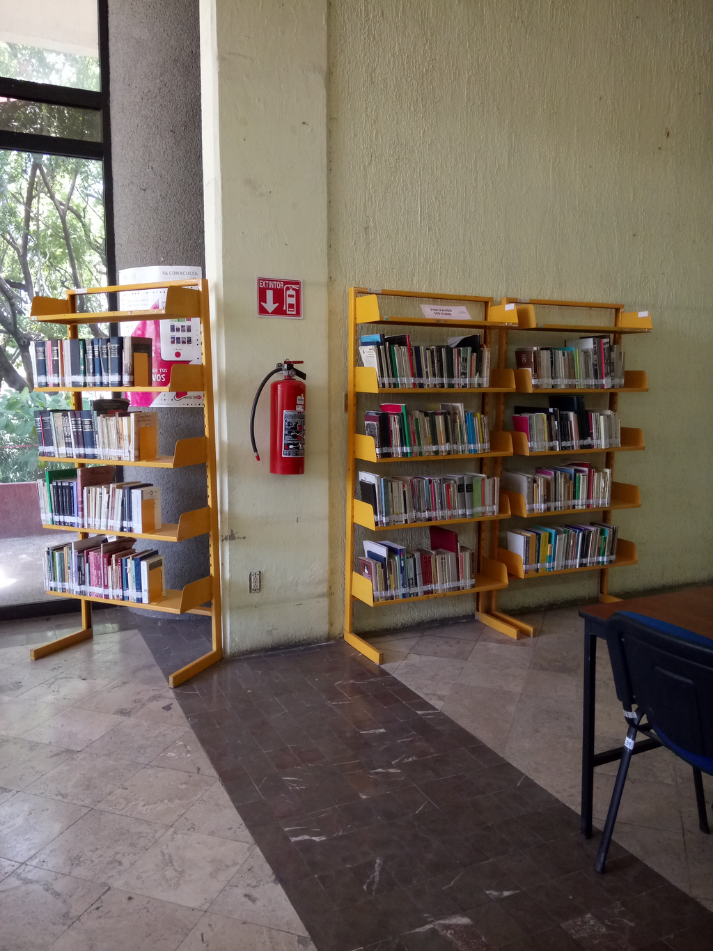 imagen1