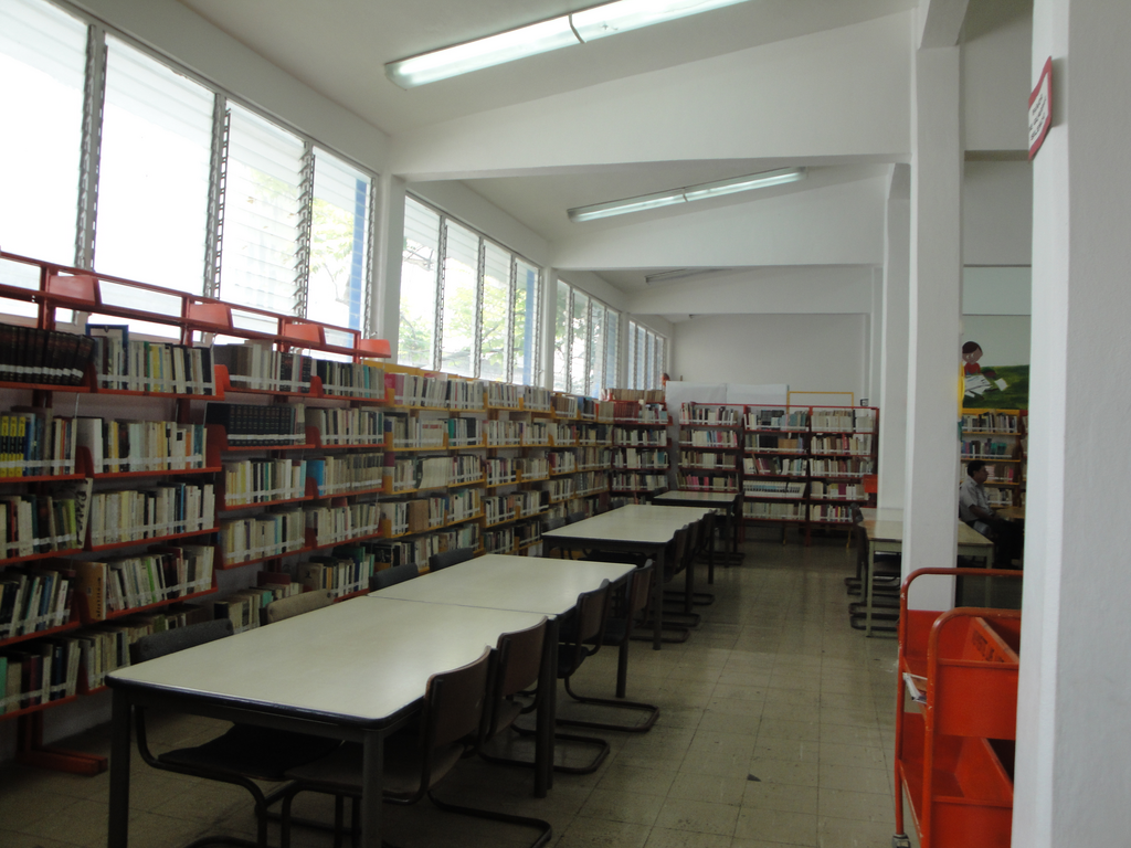 imagen3