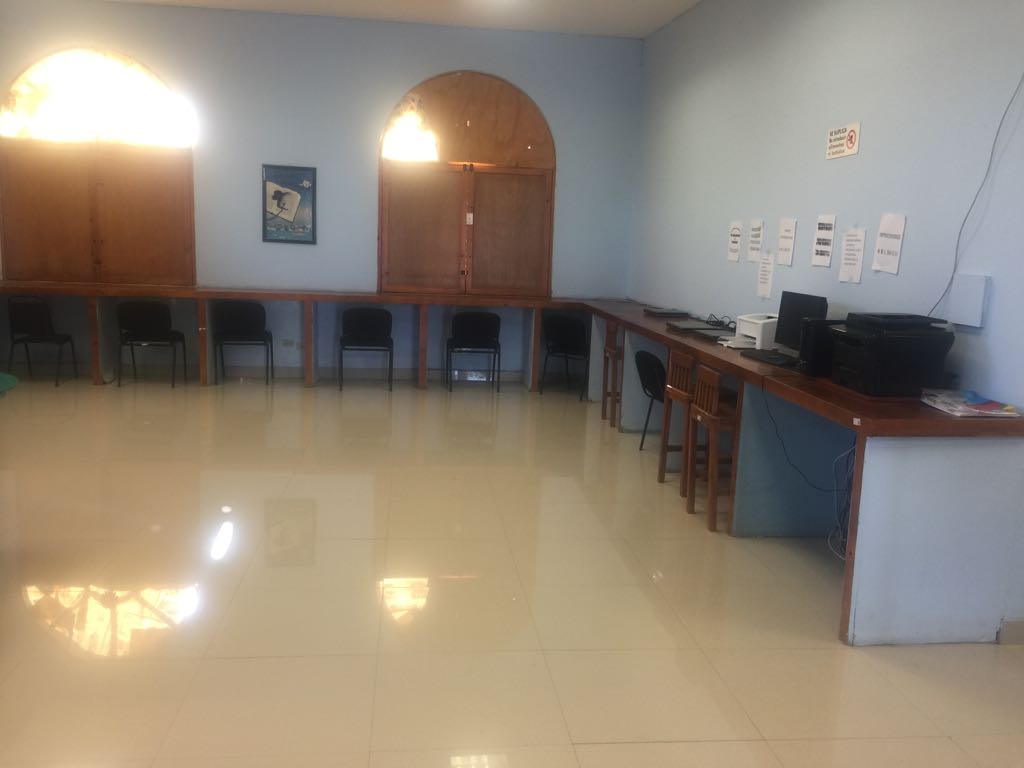 imagen1