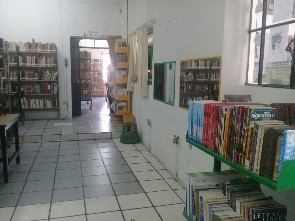 imagen1