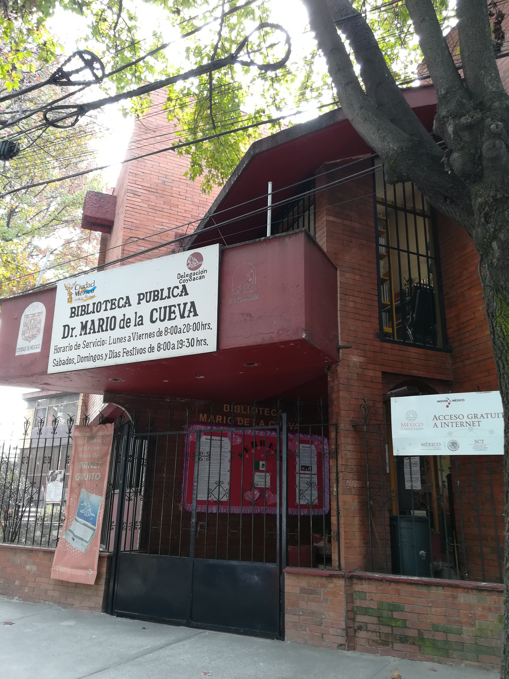 imagen3