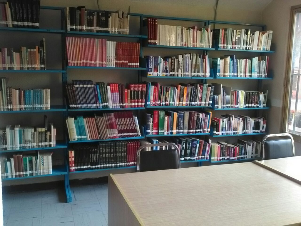 imagen1