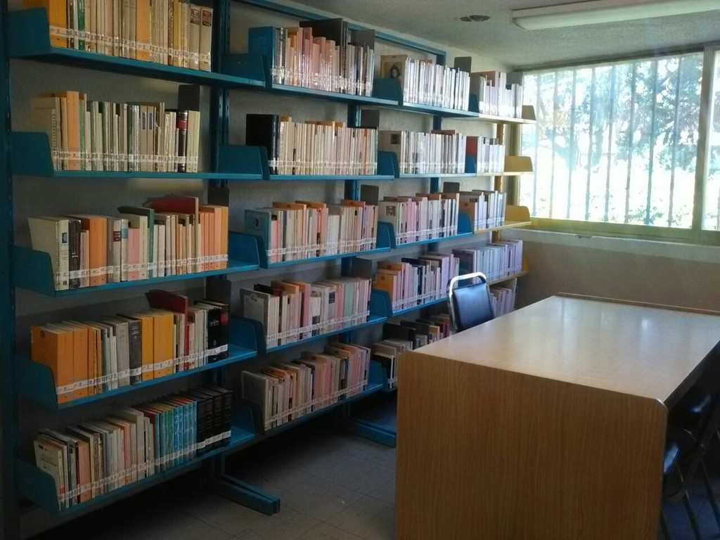 imagen3