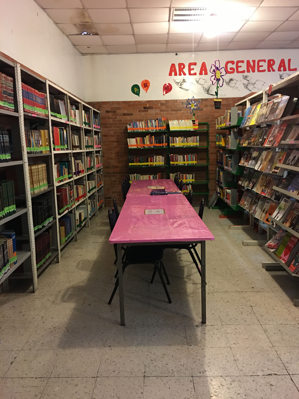 imagen3