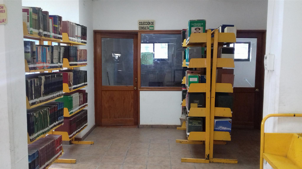 imagen3