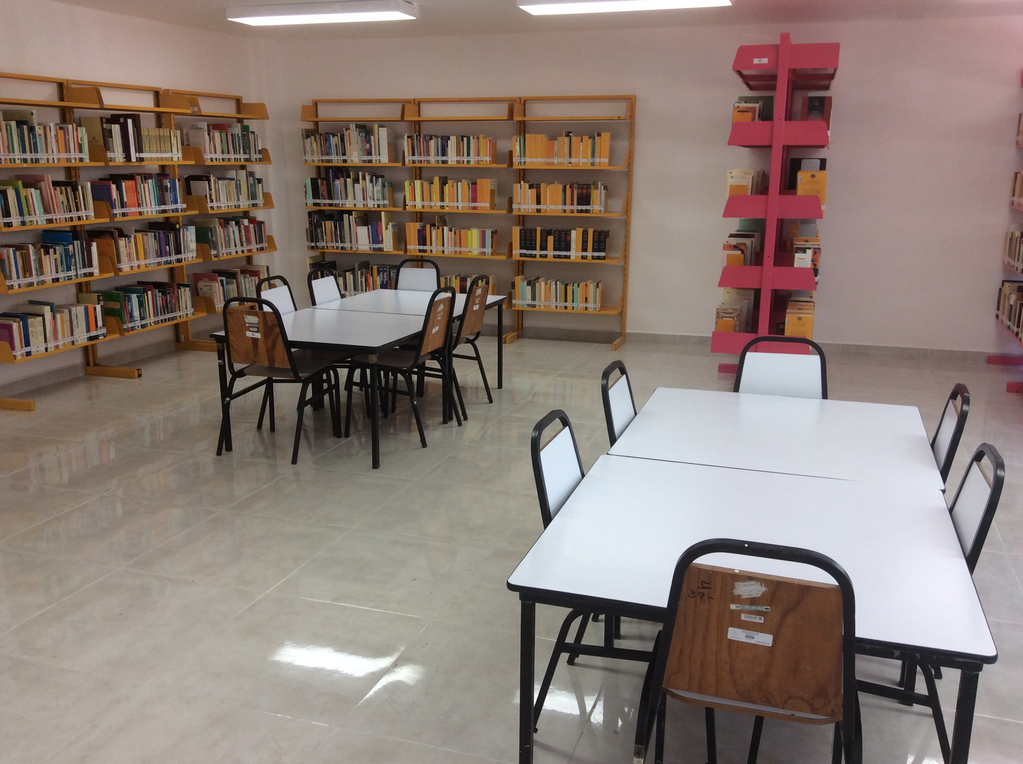 imagen1