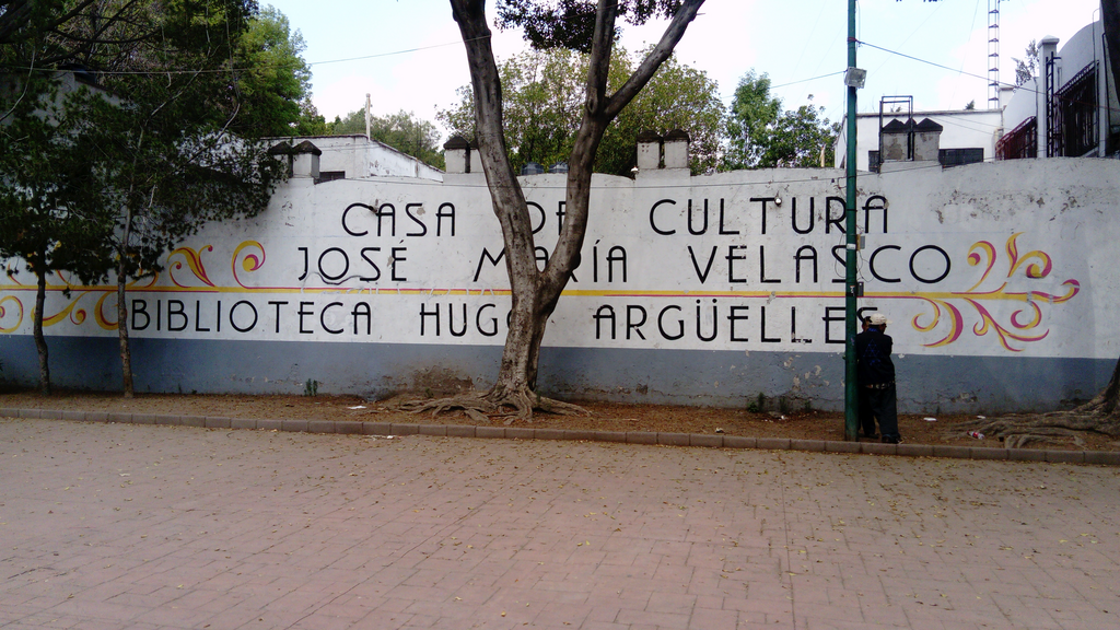 imagen1