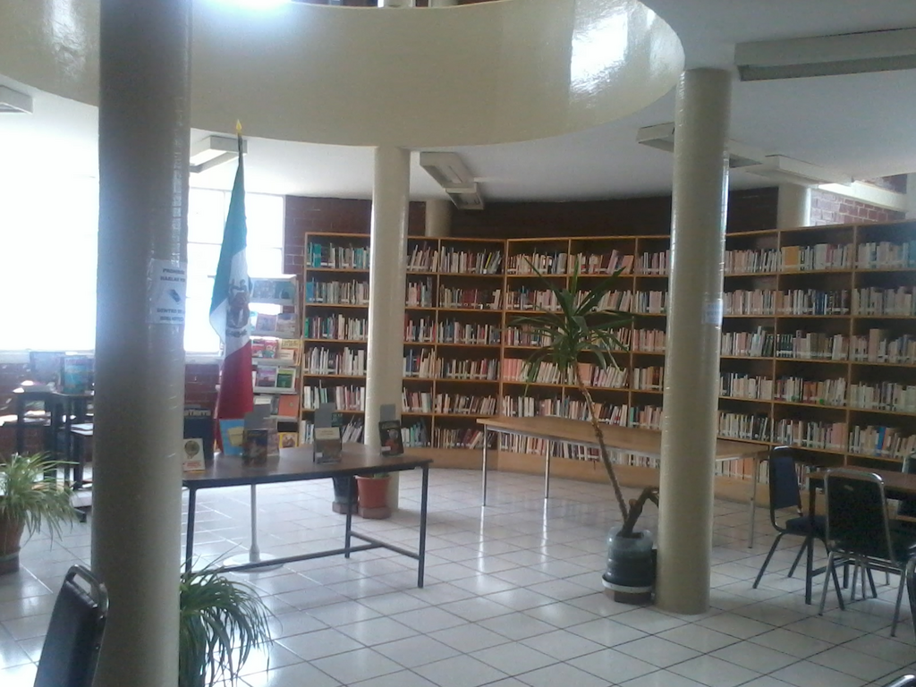 imagen3