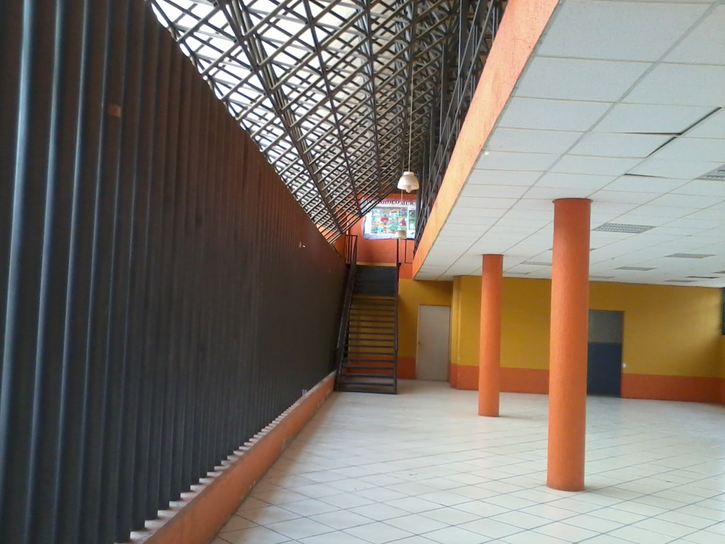 imagen0