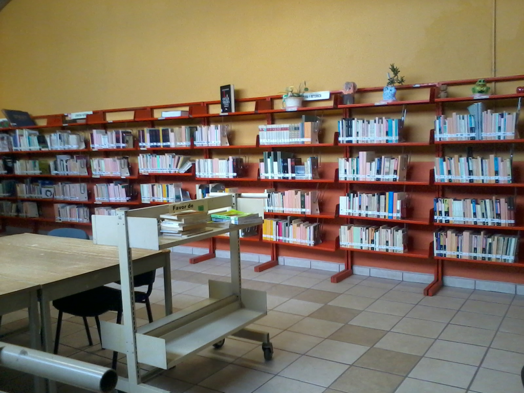 imagen2