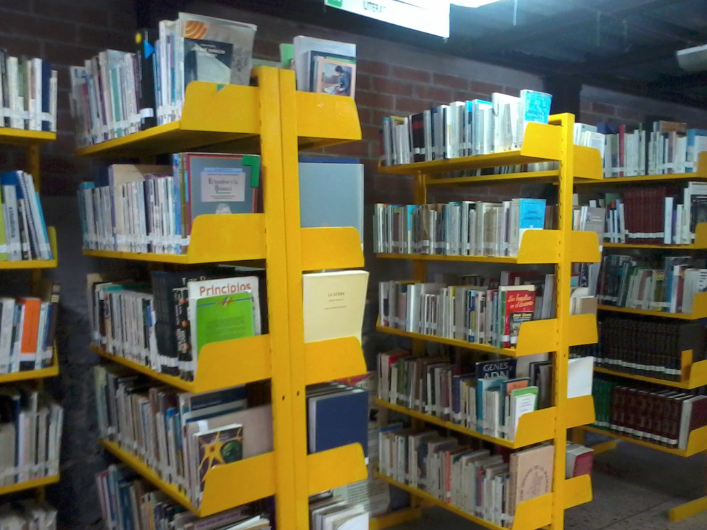 imagen2
