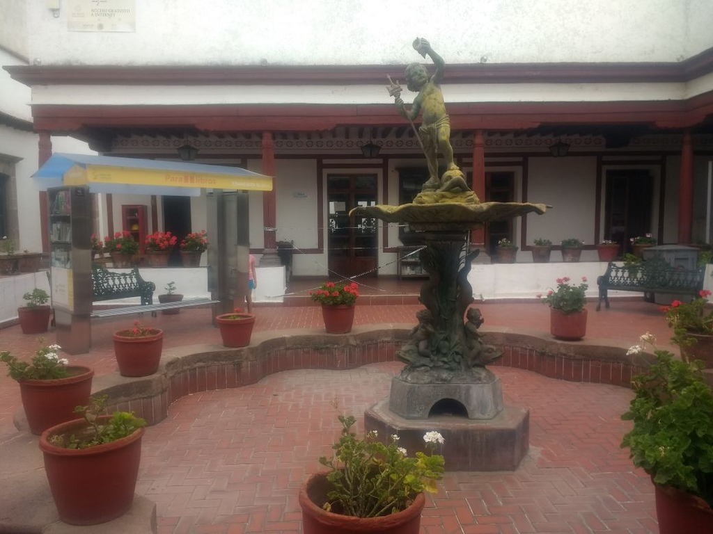 imagen1