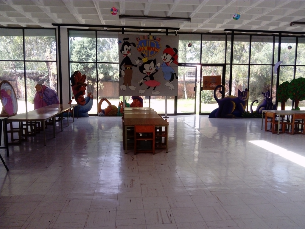 imagen1