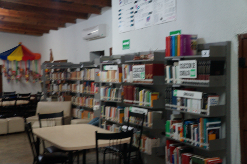 imagen3