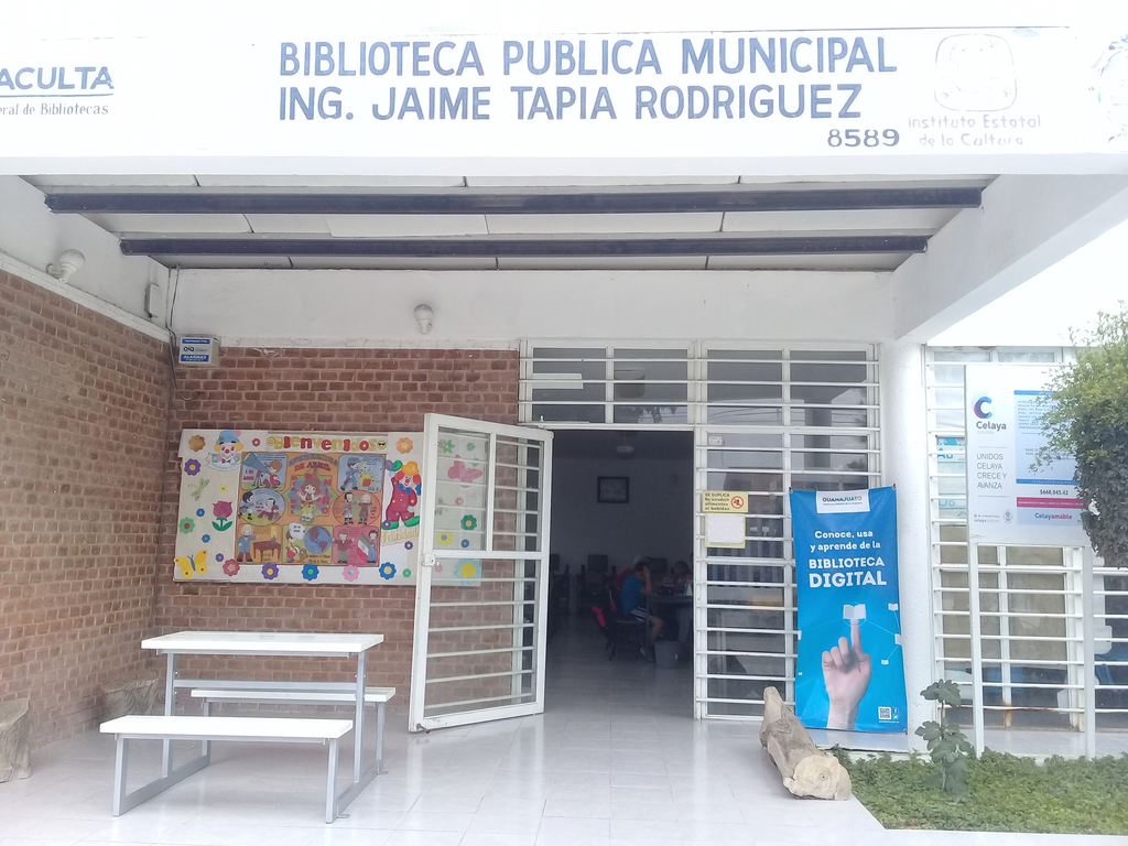 imagen3