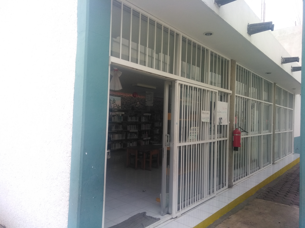 imagen3