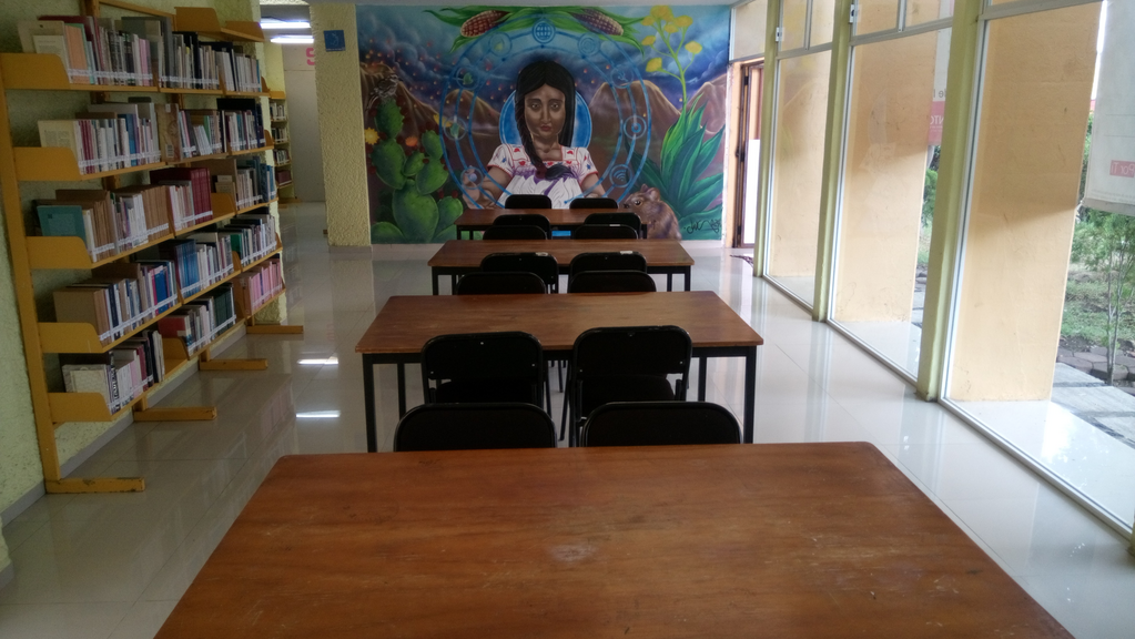 imagen1