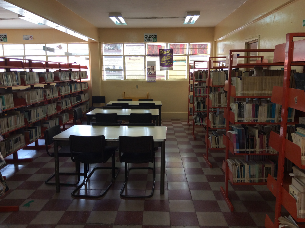 imagen1