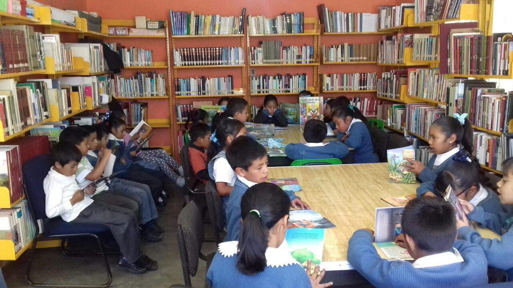 imagen1