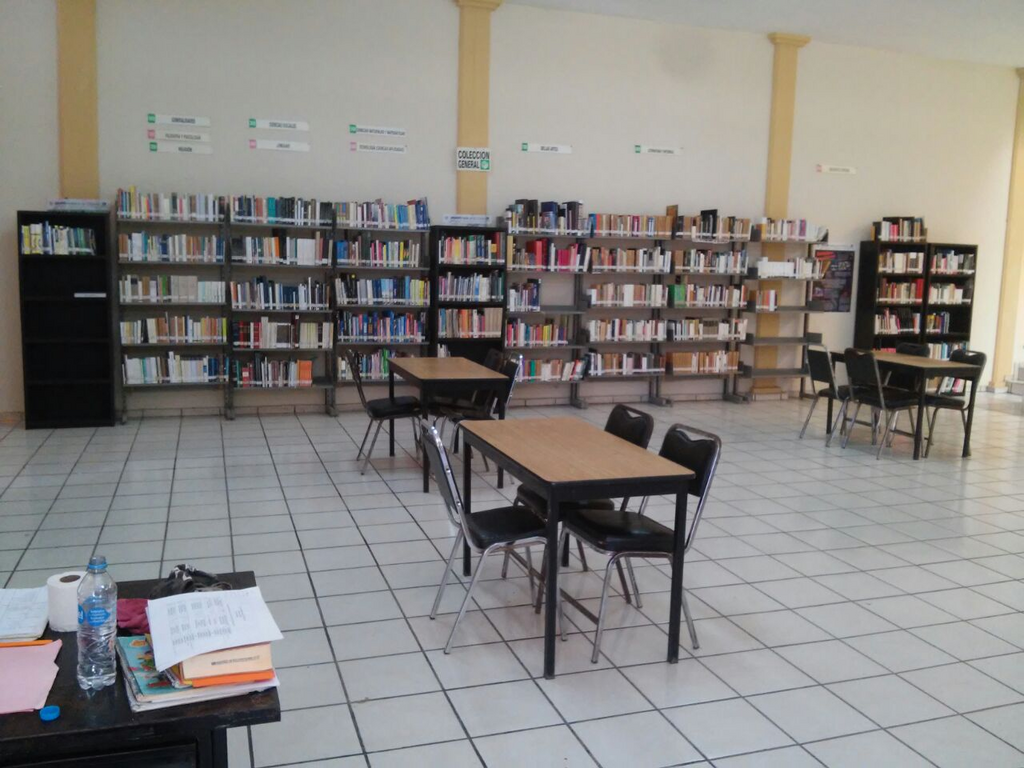 imagen0