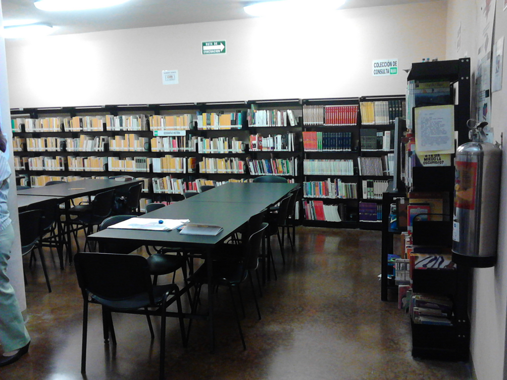 imagen1