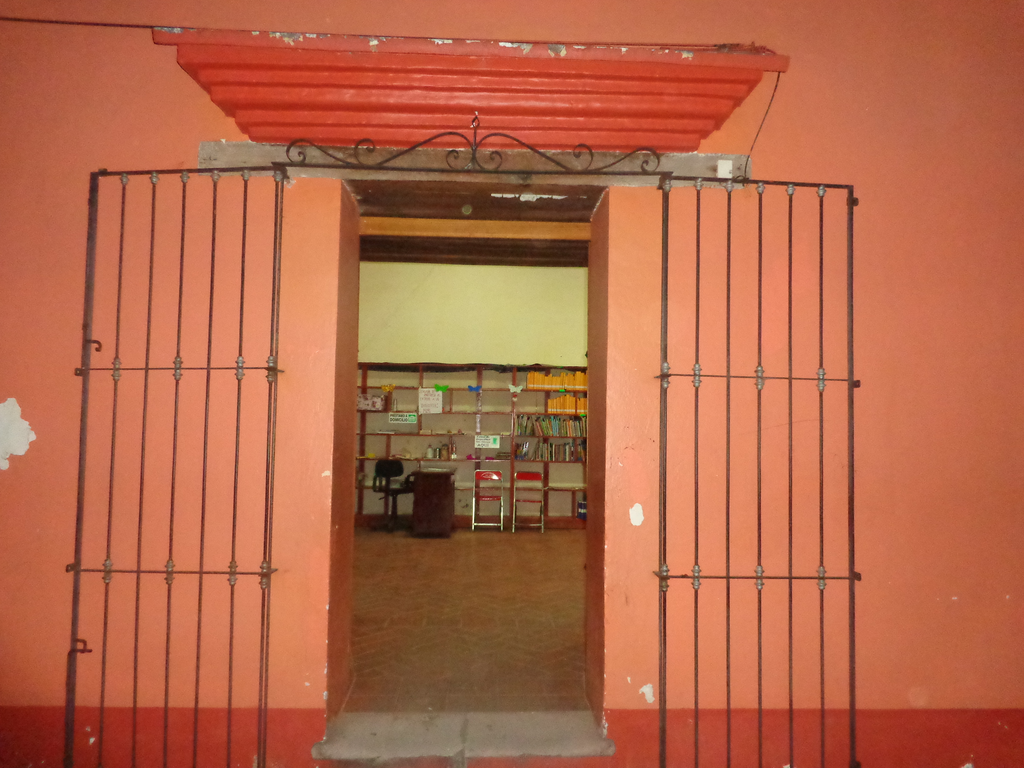 imagen1