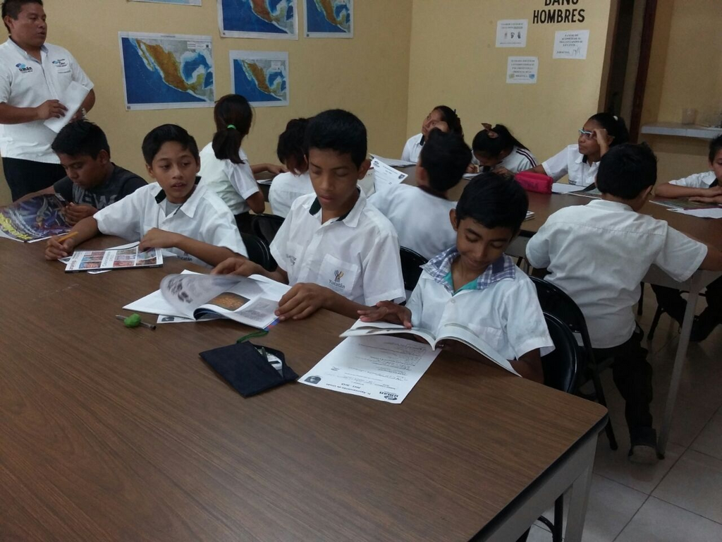 imagen3