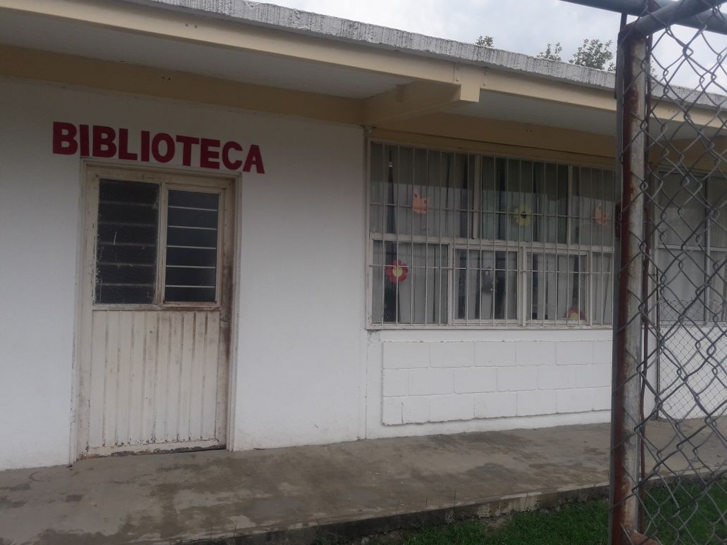 imagen3