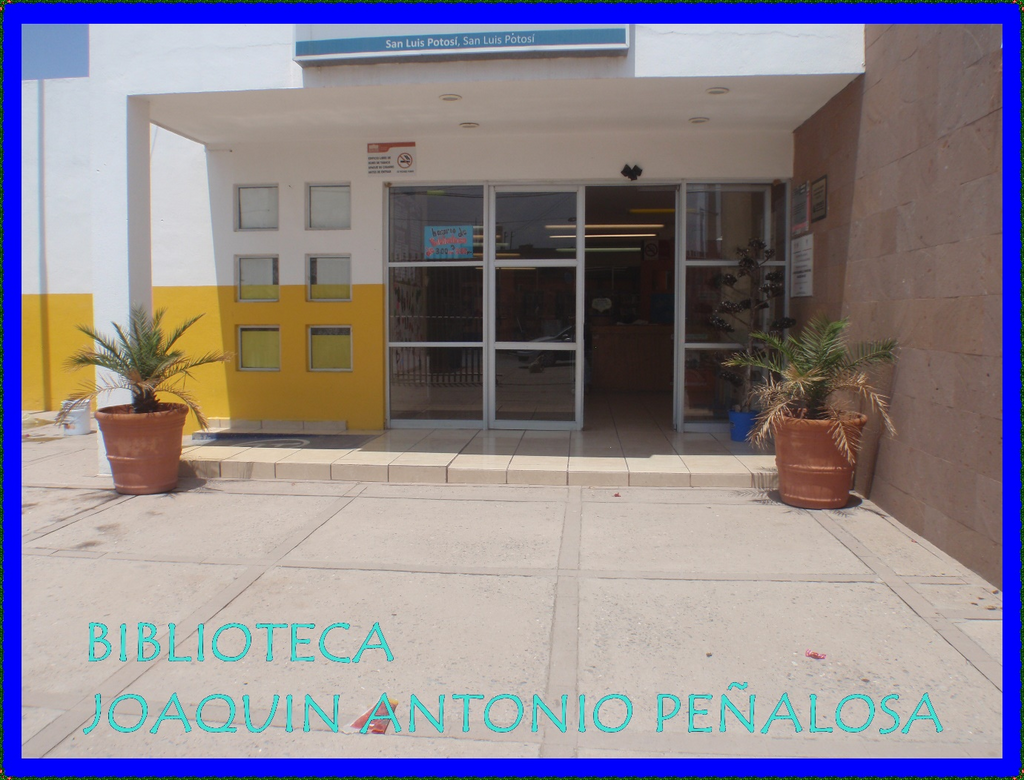 imagen1