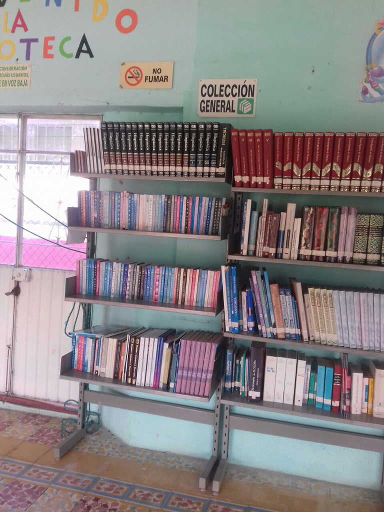 imagen1
