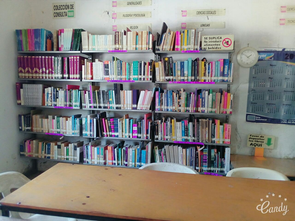 imagen1
