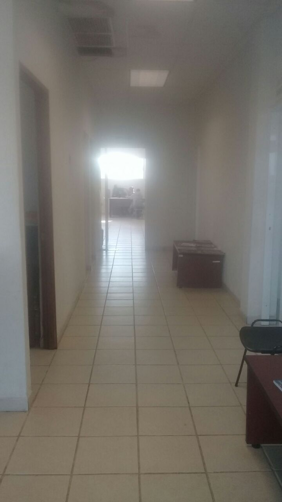 imagen1