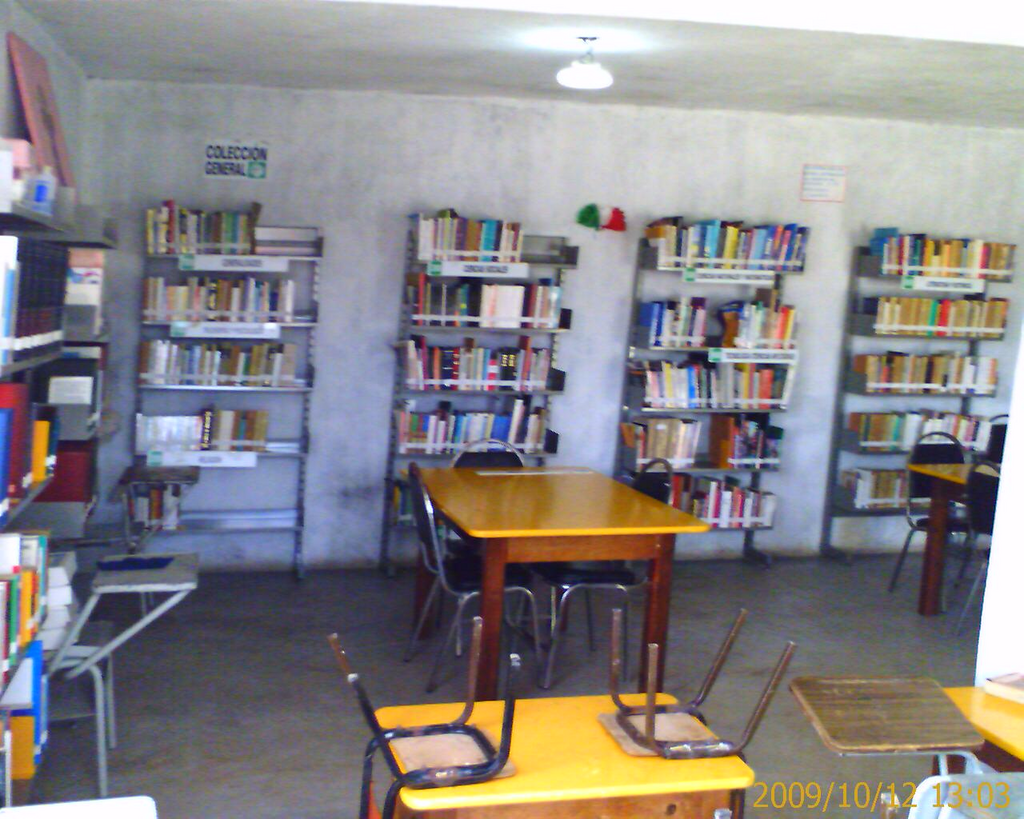 imagen1