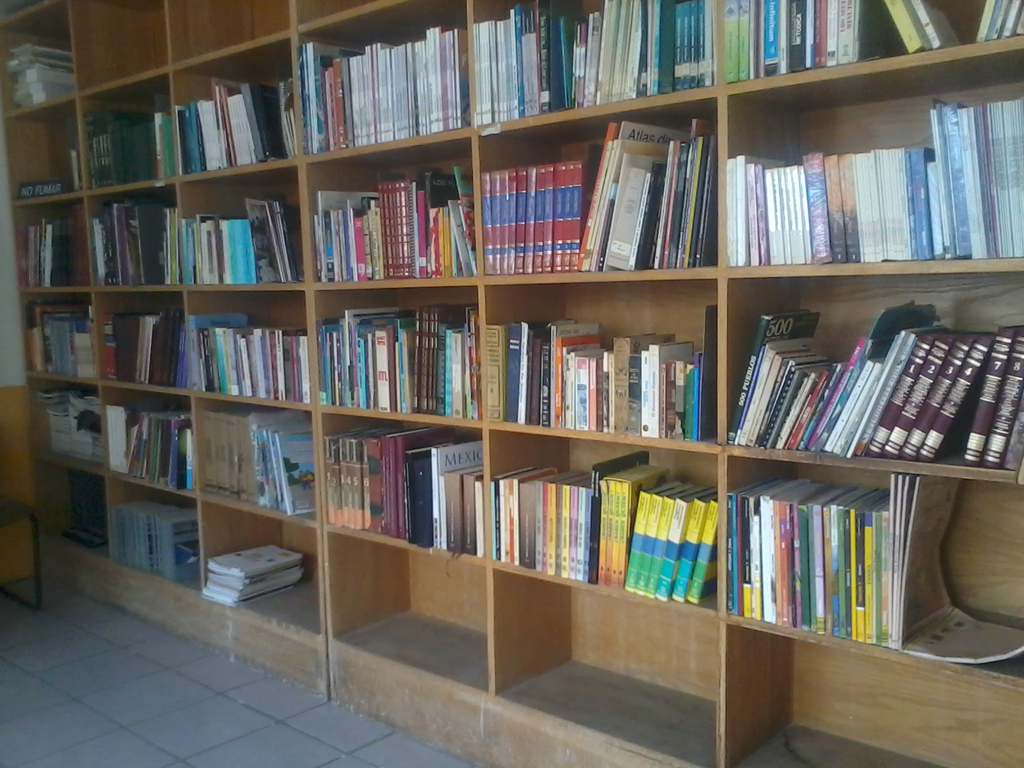 imagen1