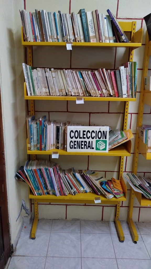 imagen2