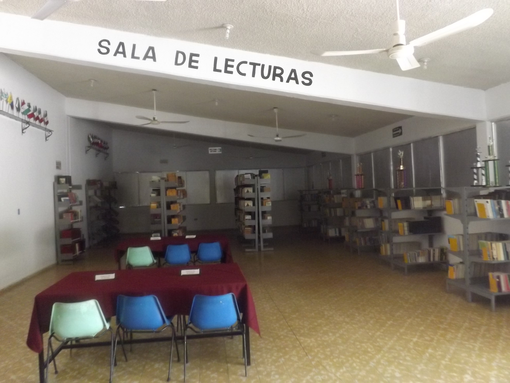 imagen1