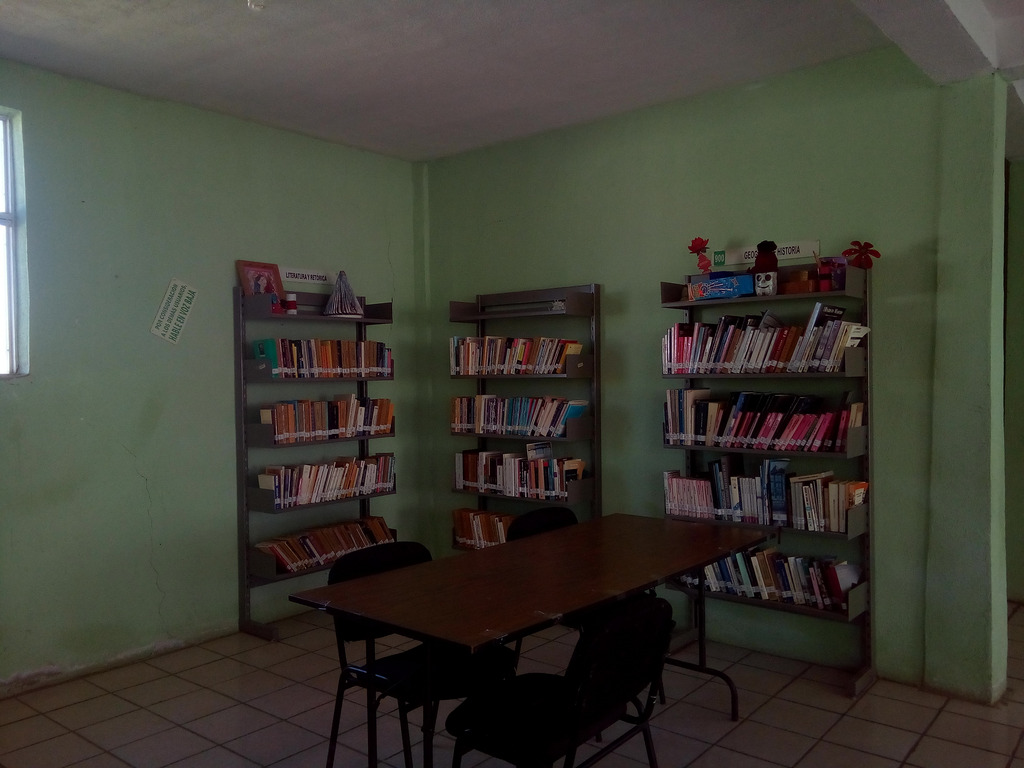 imagen3