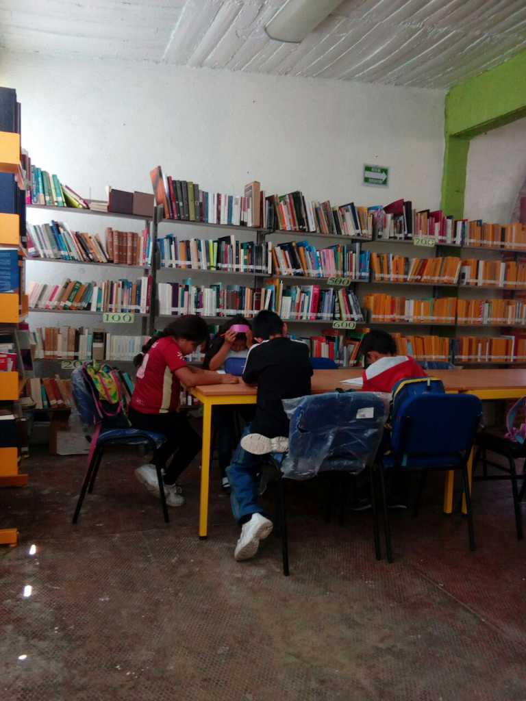 imagen1