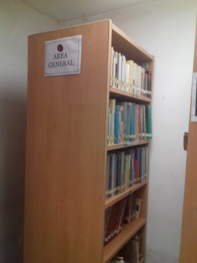 imagen1